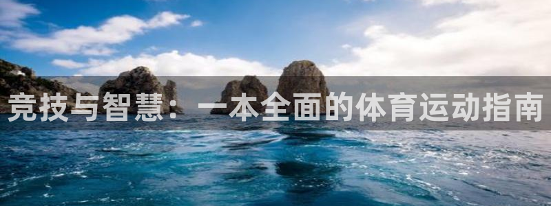 竞技与智慧：一本全面的体育运动指南