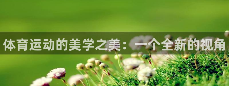 体育运动的美学之美：一个全新的视角