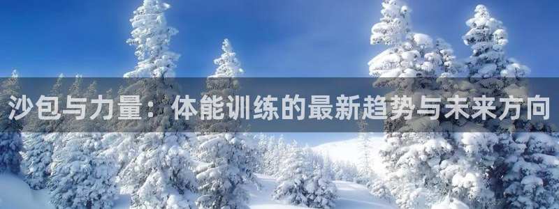 沙包与力量：体能训练的最新趋势与未来方向