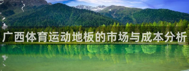 广西体育运动地板的市场与成本分析