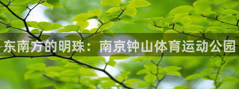 东南方的明珠：南京钟山体育运动公园