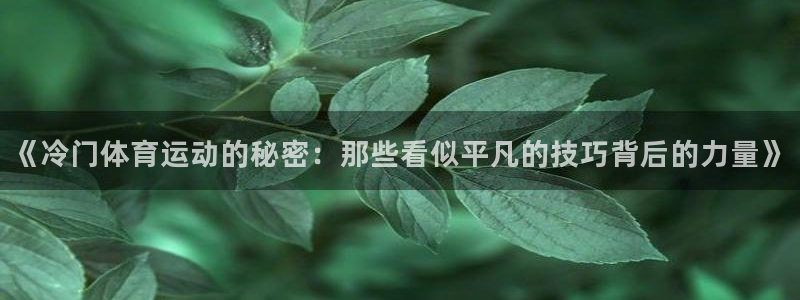《冷门体育运动的秘密：那些看似平凡的技巧背后的力量》