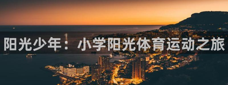 阳光少年：小学阳光体育运动之旅