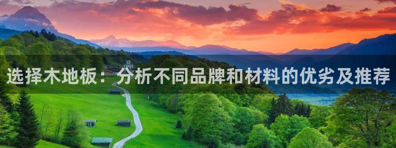 选择木地板：分析不同品牌和材料的优劣及推荐
