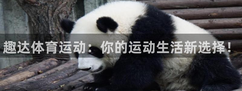 趣达体育运动：你的运动生活新选择！