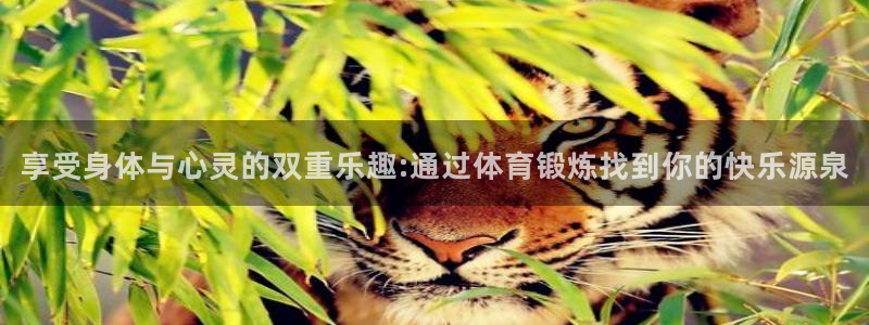 享受身体与心灵的双重乐趣:通过体育锻炼找到你的快乐源泉