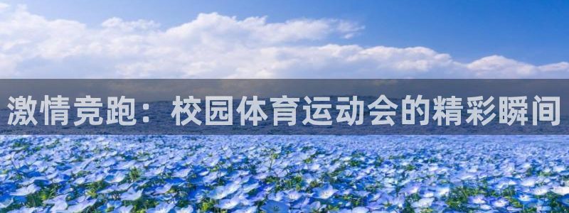 激情竞跑：校园体育运动会的精彩瞬间