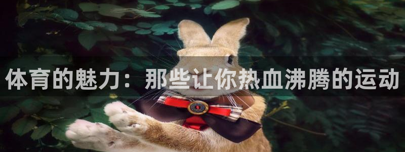 体育的魅力：那些让你热血沸腾的运动