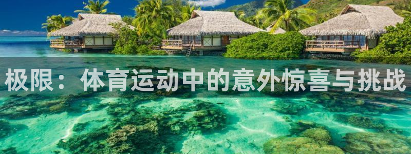 极限：体育运动中的意外惊喜与挑战