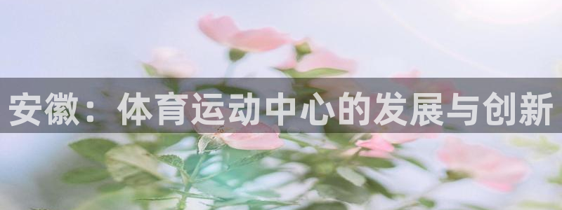 安徽：体育运动中心的发展与创新